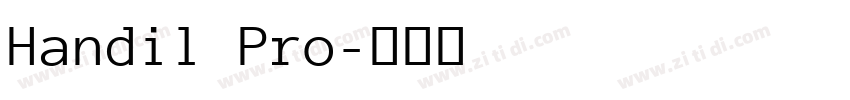 Handil Pro字体转换